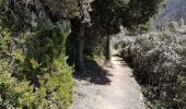 Trail Walking Vernazza - RA 2019 Cinque Terre Corniglia Vernazza - Photo 11