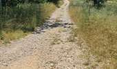 Tour Quad Villeneuve-de-la-Raho - Villeneuve-de-la-Raho-Collioure(Juillet-Aout) - Photo 9