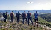 Excursión Senderismo Garéoult - L'Amarron depuis Garéoult - Photo 3