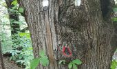 Tour Wandern Fontan - Chemin des Drôles  - Photo 17