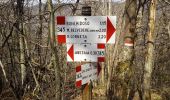 Trail On foot Gaggio Montano - IT-347 - Photo 5