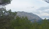 Tour Wandern Beaurecueil - Beaurecueil Le Grand Cabriès - Photo 2