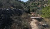 Tocht Trail ביתר עילית - Husan WHP - Photo 19