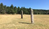 Trail Walking Collobrières - Collobrières - les menhirs du Lambert  - Photo 2