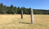 Excursión Senderismo Collobrières - Collobrières - les menhirs du Lambert  - Photo 2