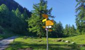 Trail On foot Val de Bagnes - Chemins pédestre, région Entremont - Photo 5