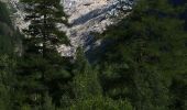 Randonnée A pied Trient - Sentier des Alpages - Photo 5