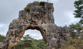 Trail Walking La Roque-Sainte-Marguerite - Montpellier le vieux  - Photo 1