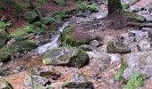 Tour Wandern Xonrupt-Longemer - Tour des lacs de Longemer et Retournemer et cascades - Photo 9