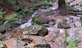 Tocht Stappen Xonrupt-Longemer - Tour des lacs de Longemer et Retournemer et cascades - Photo 9