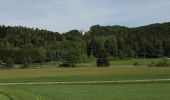 Tour Zu Fuß Neukirchen bei Sulzbach-Rosenberg - Rundwanderweg No.1 Neukirchen - Photo 10