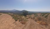 Trail Walking La Roque-Alric - Dentelles de Mont Miraille - Photo 4