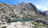 Tocht Stappen Saint-Martin-Vésubie - Lacs des Bresses et Negre - Photo 3