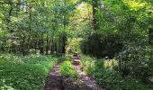 Randonnée Marche Esneux - parc du Mary. targnon . parc du Mary - Photo 17