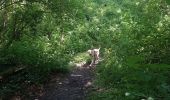 Tocht Stappen Seraing - Bois du Val Saint-Lambert - Photo 1