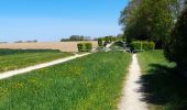 Trail Walking Thorigny-sur-Marne - Carnetin - Aqueduc de la Dhuys - Forêt des Vallieres - Photo 1