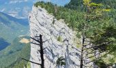 Trail Walking Autrans-Méaudre en Vercors - sure and co - Photo 2