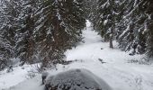 Trail Touring skiing Beaufort - pointe du dard avec retour par le trou et col de la grande combe - Photo 9