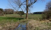 Excursión Senderismo Neufchâteau - Tronquoy - Sberchamps - Photo 7