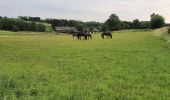 Tocht Stappen Itter - Le chemin des cailloux - Photo 1