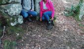 Trail Walking Peyrelevade - les Fontaines de Cezeyrat  - Photo 8