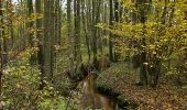 Tour Zu Fuß Tangstedt - Rund um Gut Wulksfelde entlang der Oberalster - Photo 2