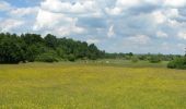 Trail On foot Magyarföld - K+ (Felsőszenterzsébet - Péter-hegy - Magyarföld) - Photo 10