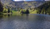 Randonnée Marche Le Valtin - gazon du faing, lac noir et truites  - Photo 3