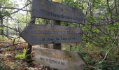 Trail Walking Saint-Jean-de-Côle - Saint-Jean de colle la côte 12 km - Photo 2