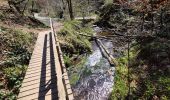 Trail Walking Waimes - Peak brune - Photo 12
