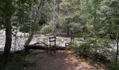 Tour Wandern Vallouise-Pelvoux - Cascade de la Pisse et pont des places - Photo 19