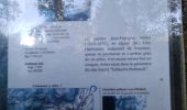 Tour Wandern Metzeral - Tour Steinabruck - Mittlach - Photo 14
