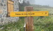 Trail Walking Cauterets - Sentier du Lisey - Photo 5