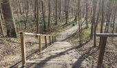 Tocht Stappen Le Vésinet - En passant par Bougival  - Photo 3