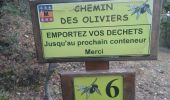 Tour Wandern Les Mées - LES MEES . CHEMIN DES OLIVIERS O L  - Photo 4
