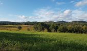 Tour Wandern Vernègues - Vernègues, Jeansine, château bas, Victoire ch. des Bastides. - Photo 2