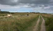 Tocht Te voet Brodersby - Steilküsten Runde - Photo 7