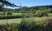 Randonnée Marche Comps-sur-Artuby - Comps-sur-Artuby     Le Mauvais Pont et les Chapelles - Photo 10