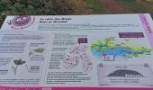 Percorso Marcia Billiers - PR_56_Billiers_AA_01_Les-Megalithes_Circuit1b_29230902 - Photo 9