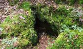 Tour Wandern Plancher-les-Mines - Plancher les mines - sentier des mines - croix du choléra - Planche des Belles Filles - sentier FFI - Mont Menard - Plancher les Mines - Photo 4