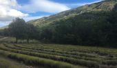 Randonnée Marche Vauvenargues - Sainte-Victoire (accès par Vauvenargues et GR9) - Photo 18