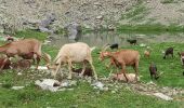 Tocht Stappen Vallouise-Pelvoux - Lac de Puy Aillaud depuis village de Puy Aillaud  - Photo 5