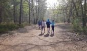 Tocht Stappen Noisy-sur-École - Sentier des 25 bosses (1ère moitié) - Photo 2