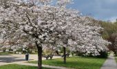 Tour Mountainbike Yvoir - GODINNE ... Petite & Grande Hulle / Jardins d'Annevoie. - Photo 6