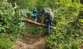 Tocht Stappen Étréchy - Le trou du sarrazin - Photo 3