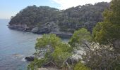 Tocht Stappen Hyères - Hyères - La presqu'île de Giens - Circuit côtier ouest  - Photo 12