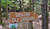 Tocht Stappen Baelen - 15km Barmen Chemin du Dragon  - Photo 3