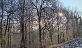 Trail Walking Liège - dans la réserve naturelle de l'université - Photo 20