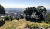 Trail Walking Thann - Thann-Abri Baumann-Vue Zuber - Photo 1