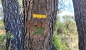 Tour Wandern Le Tholonet - le tour des trois barrages - Photo 19